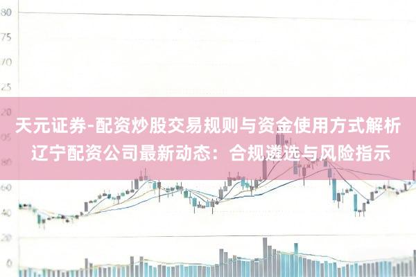 天元证券-配资炒股交易规则与资金使用方式解析 辽宁配资公司最新动态：合规遴选与风险指示