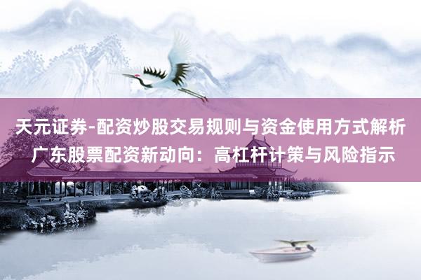 天元证券-配资炒股交易规则与资金使用方式解析 广东股票配资新动向：高杠杆计策与风险指示
