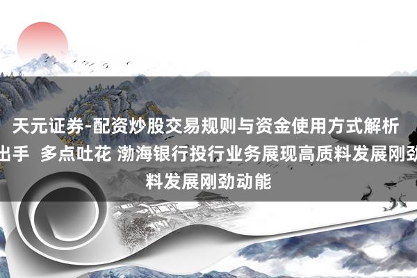 天元证券-配资炒股交易规则与资金使用方式解析 立异出手  多点吐花 渤海银行投行业务展现高质料发展刚劲动能