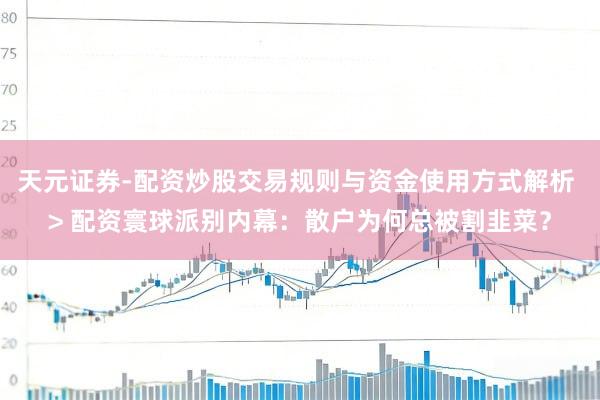 天元证券-配资炒股交易规则与资金使用方式解析 > 配资寰球派别内幕：散户为何总被割韭菜？
